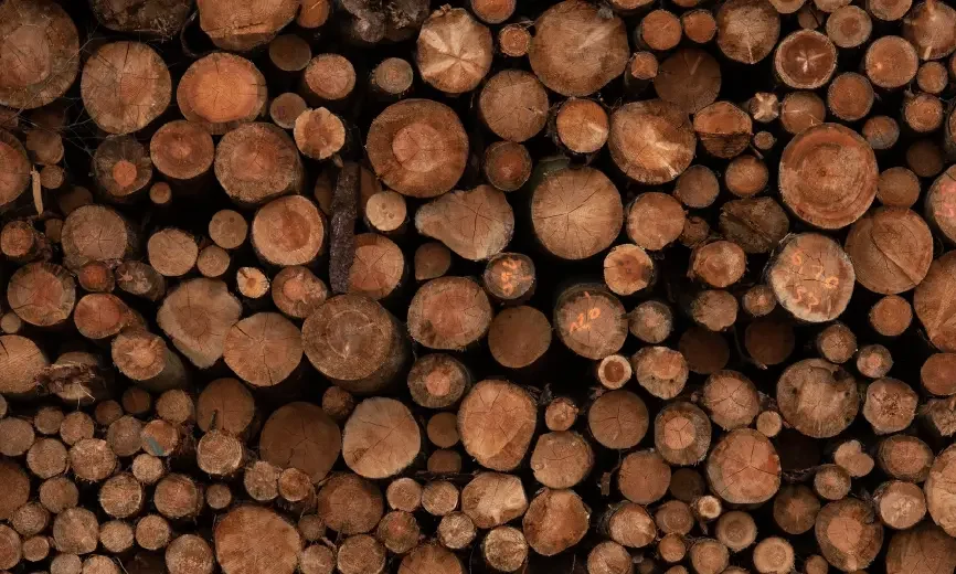 of raw materials sourced from renewable resources